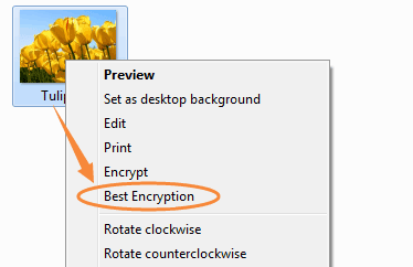 encrypt file